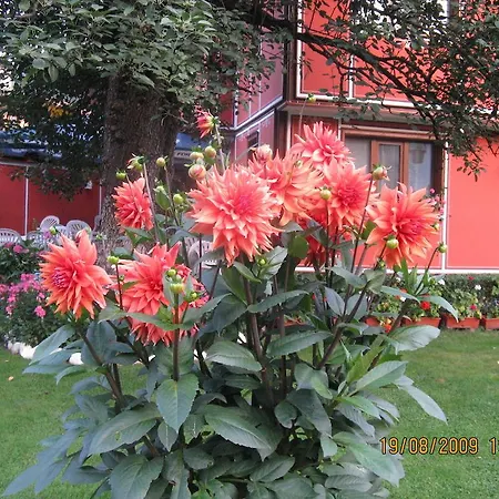 Hotel Family Kalina Koprivshtitsa